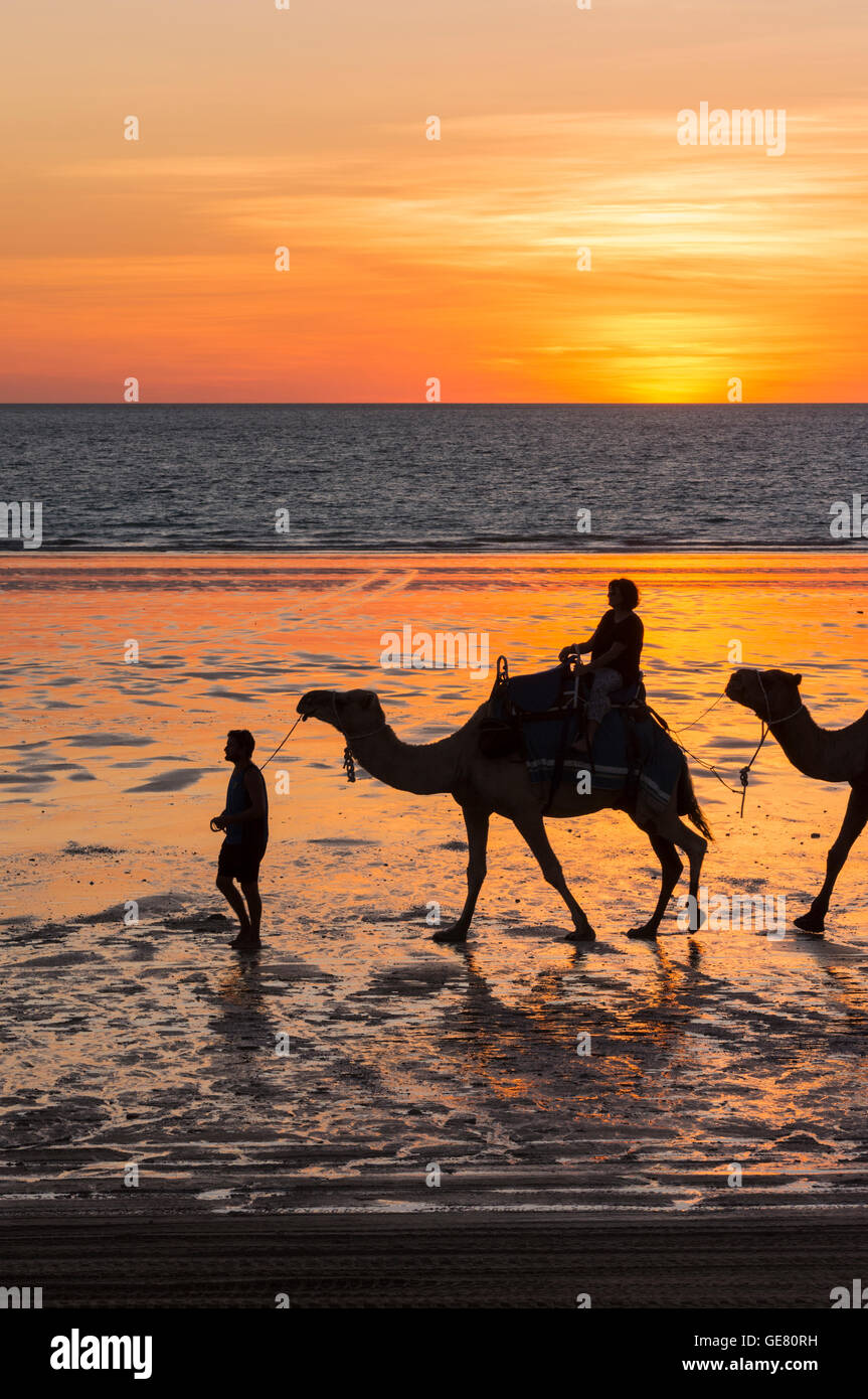 Kamele am Cable Beach bei Sonnenuntergang, Cable Beach, Broome, Kimberley, Western Australia, Australien Stockfoto