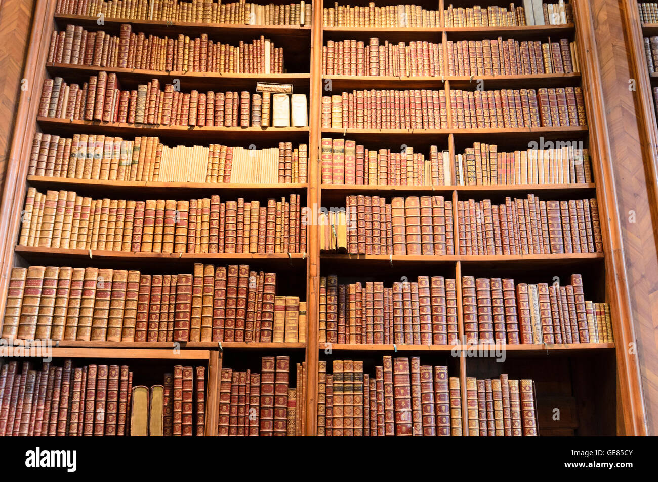 Wien, Wien: Prunksaal der Österreichischen Nationalbibliothek: Bücher, Regal, Bücherregal, Österreich, Wien, 01. Stockfoto