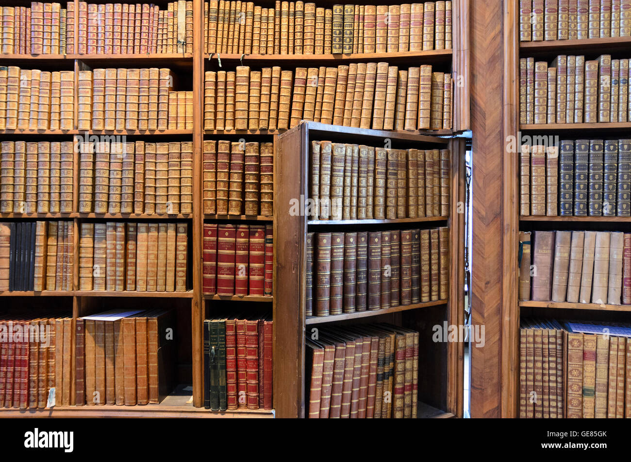 Wien, Wien: Prunksaal der Österreichischen Nationalbibliothek: Bücher und Tür mit Bücherregal, Österreich, Wien, 01. Stockfoto