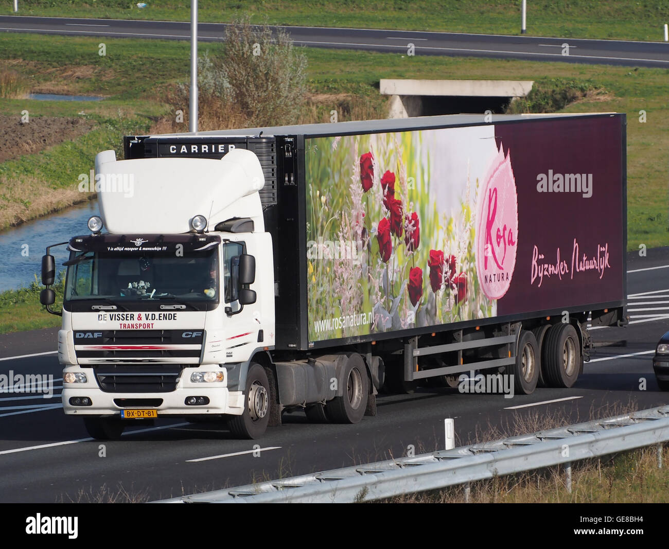 Dieses Bild zeigt einen DAF CF-Lkw von de Visser & vd Ende, einem Unternehmen, das für seine Transport- und Logistikdienstleistungen bekannt ist. Der Lkw mit der Marke Rosa Natura unterstreicht die Beteiligung des Unternehmens an Logistik- und Transportdienstleistungen. Stockfoto