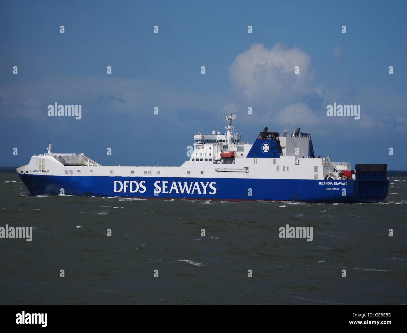 Die Selandia Seaways, ein 1998 gebautes Roll-on-Roll-off-Frachtschiff, fährt vom Hafen Rotterdam aus. Das Schiff gehört zur Flotte der DFDS Seaways und ist hauptsächlich in der Nordseeregion tätig. Stockfoto
