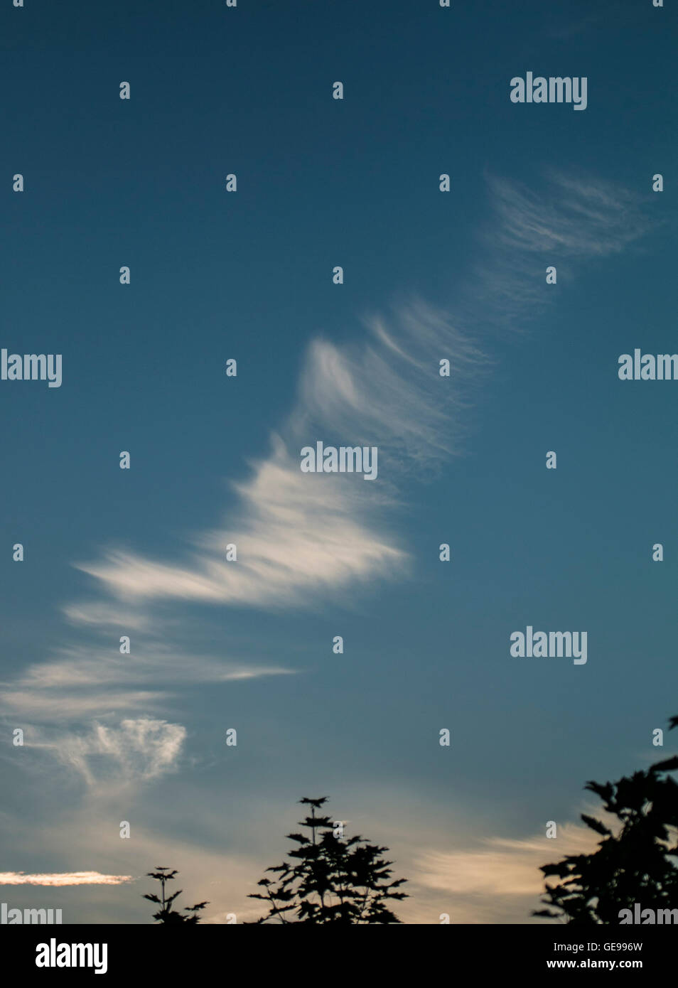 Schönwetter-Wolke Stockfoto