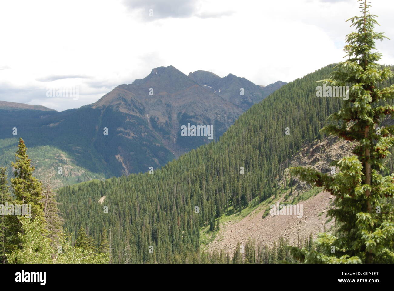 Berg-Wald-Canyon Stockfoto