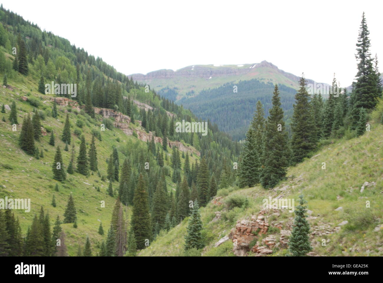 Berg-Wald-Canyon Stockfoto