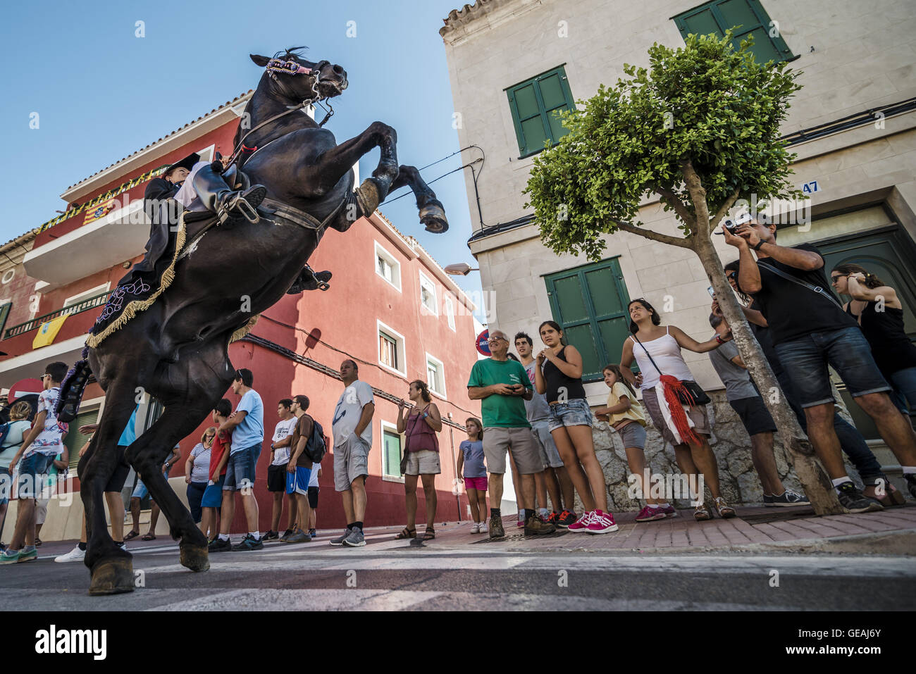 Es Castell, Balearen, Spanien. 24. Juli 2016. Ein "Caixer" (Reiter) bäumt sich auf seinem Pferd vor dem Publikum, als er durch die Straßen zu Jahresbeginn das traditionelle fest "Sant Jaume" (Jakobsweg) in Es Castell, der Stadt Gönner Heiliges Fiesta Credit reitet: Matthias Oesterle/ZUMA Draht/Alamy Live News Stockfoto