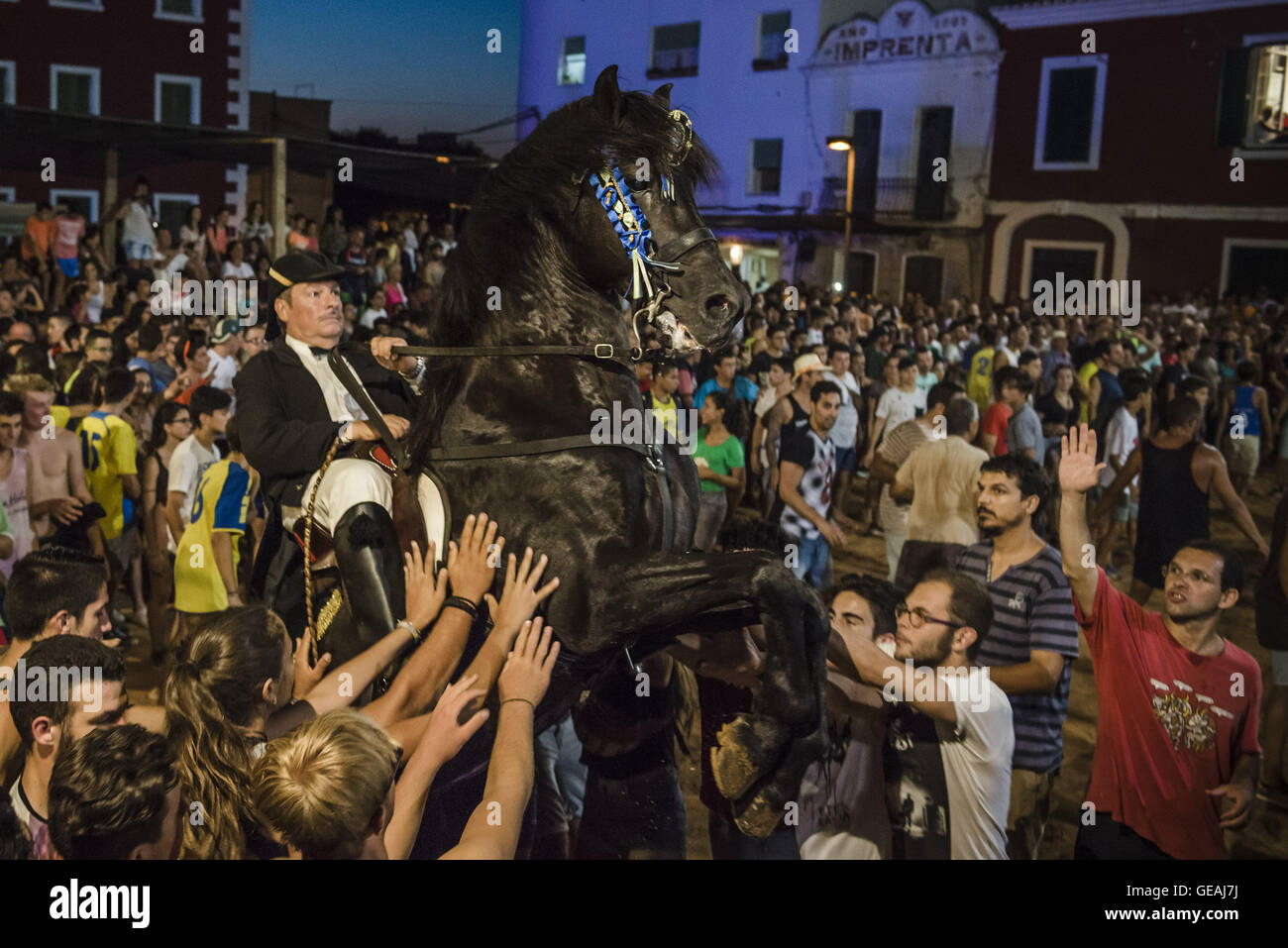 Es Castell, Balearen, Spanien. 24. Juli 2016. Ein "Caixer" (Reiter) bäumt sich auf seinem Pferd, umgeben von einer jubelnden Menge während der traditionellen "Sant Jaume" (Jakobsweg) Festival in Es Castell, der Stadt Gönner Heiliges Fiesta Credit: Matthias Oesterle/ZUMA Draht/Alamy Live News Stockfoto