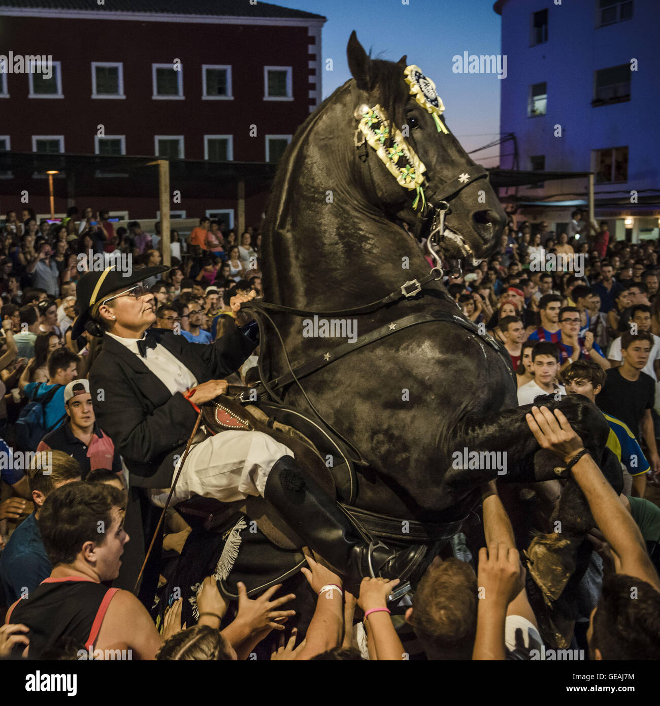 Es Castell, Balearen, Spanien. 24. Juli 2016. Ein "Caixer" (Reiter) bäumt sich auf seinem Pferd, umgeben von einer jubelnden Menge während der traditionellen "Sant Jaume" (Jakobsweg) Festival in Es Castell, der Stadt Gönner Heiliges Fiesta Credit: Matthias Oesterle/ZUMA Draht/Alamy Live News Stockfoto