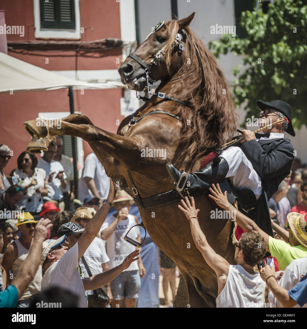 Es Castell, Balearen, Spanien. 25. Juli 2016. Ein "Caixer" (Reiter) bäumt sich auf seinem Pferd, umgeben von einer jubelnden Menge während der 2. "Jaleo" des traditionellen "Sant Jaume" (Jakobsweg) Festival in Es Castell, der Stadt Gönner Heiliges Fiesta Credit: Matthias Oesterle/ZUMA Draht/Alamy Live News Stockfoto