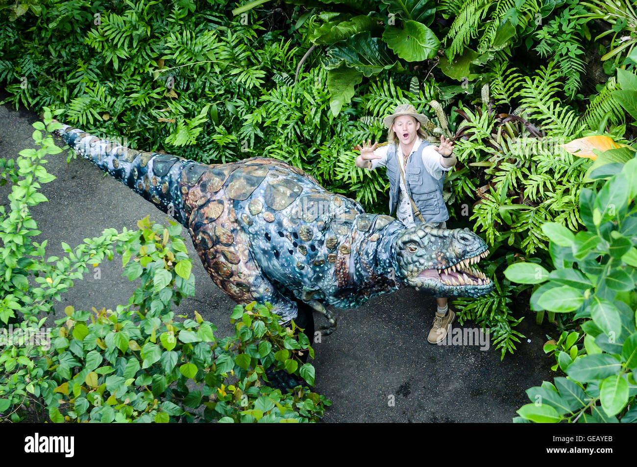 Dinosaurier-Wrangler Robert Copeland entlockt eine Mensch betriebene Marionette eines T-Rex um die Rainforest Biome im Eden Project, Cornwall, zu Beginn einer wochenlangen prähistorischen Invasion genannt Dinosaurier Aufstand, wo realistische Puppen im Garten herumlaufen werden. Stockfoto
