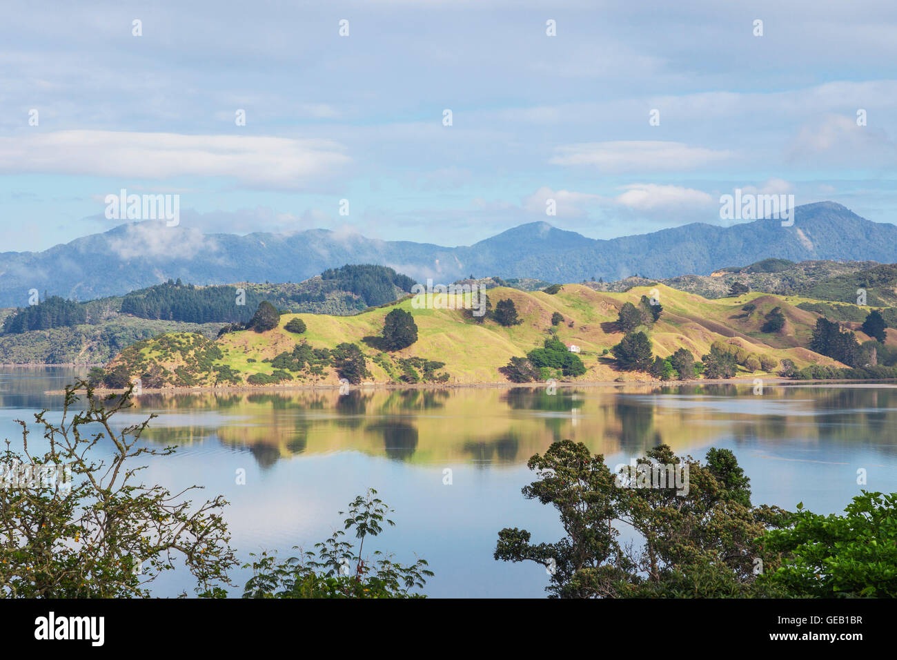 Neuseeland, Nordinsel, Northland, Hokianga Harbour Stockfoto
