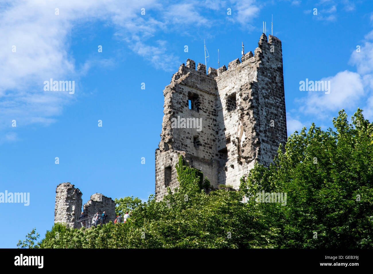 Drachenfels Berg, Burg Ruine, Siebengebirge, 7-Berggebiet, Rheintal, Deutschland Stockfoto