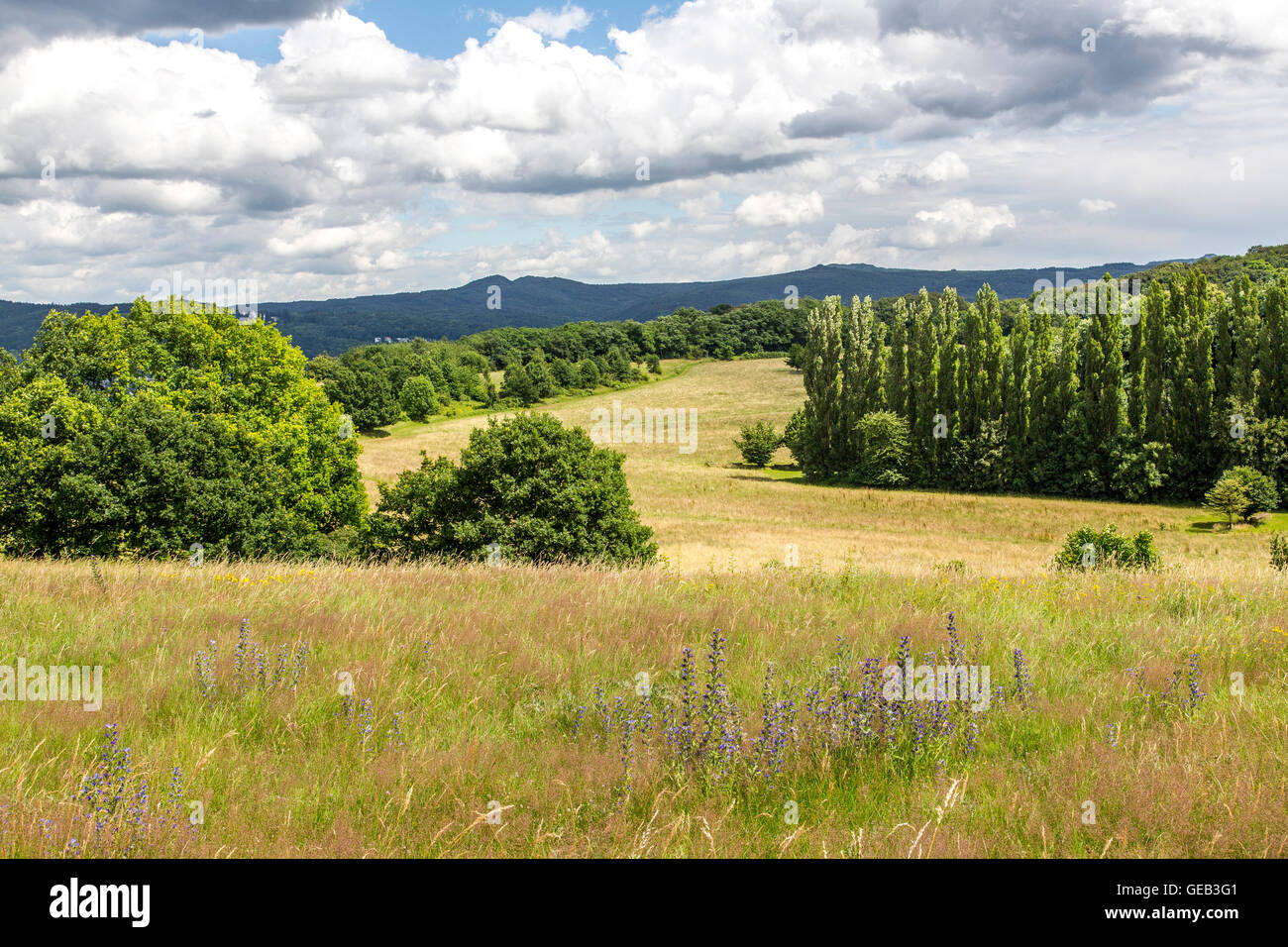 Naturschutzgebiet Rodderberg, Standort eines erloschenen Vulkans im östlichen Teil der Gemeinde Wachtberg, Nordrhein-Westfalen, Stockfoto
