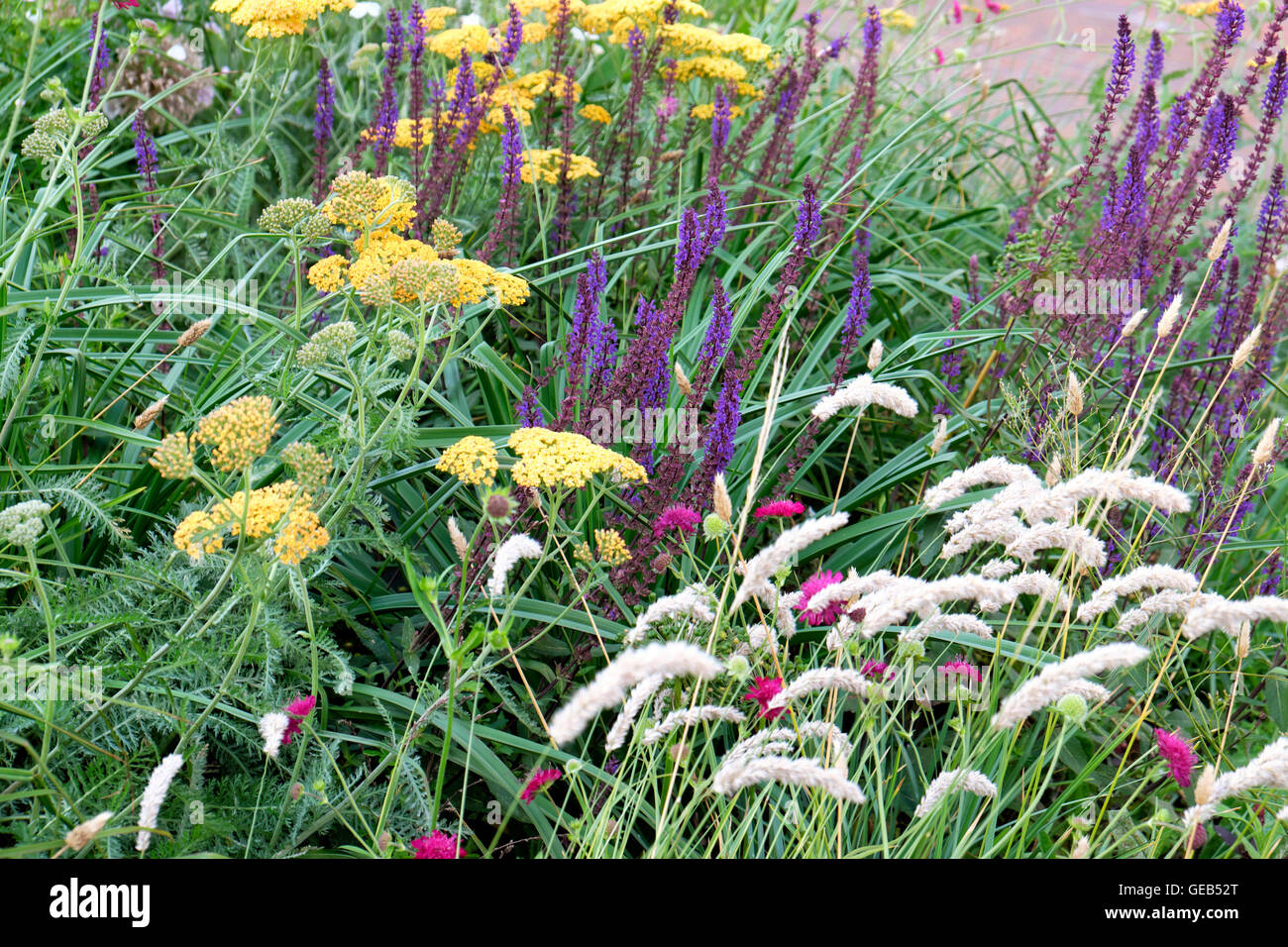 Garten designer Nigel Dunnett städtische Buche Gärten im Sommer im Barbican Estate in der Stadt London EC2Y DE KATHY DEWITT Stockfoto