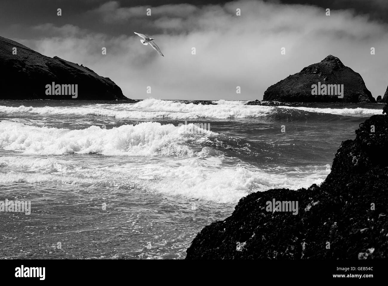Holywell Bay, Cornwall, UK kam mehrere Stunden vor einem Meer Nebel gerollt und im Frühsommer wie die Flut getroffen. Stockfoto