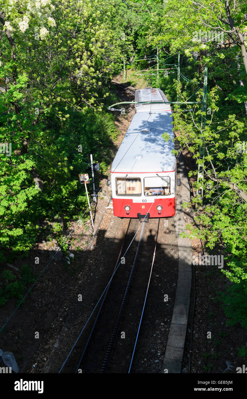 Budapest: Zahnrad-Bahn in die Budaer Berge, Ungarn, Budapest, Stockfoto