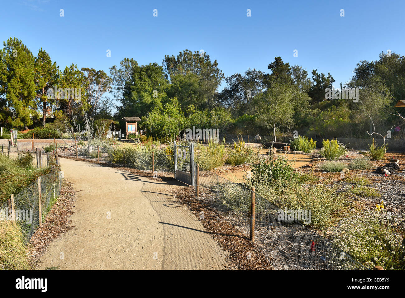 San Joaquin Marsh Reserve Schmetterling und Humming Bird Gardens, in Irvine, Kalifornien. Stockfoto