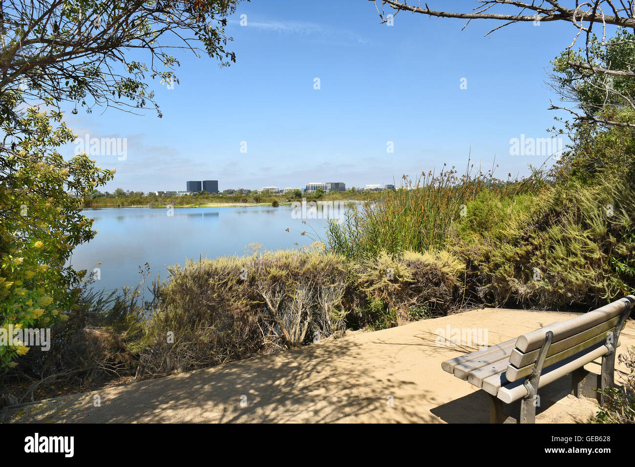 Beobachtung-Bank am Teich #1 an der San Joaquin Marsh Reserve, Irvine, CA Stockfoto