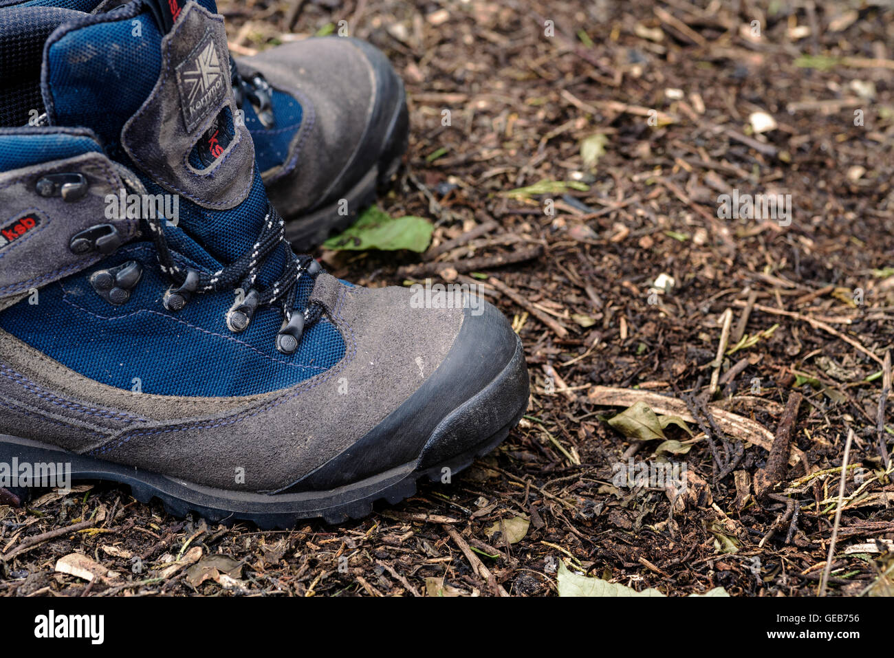 Paar Wanderschuhe auf einem waldboden Hintergrund. Outdoor Ausrüstung. Stockfoto