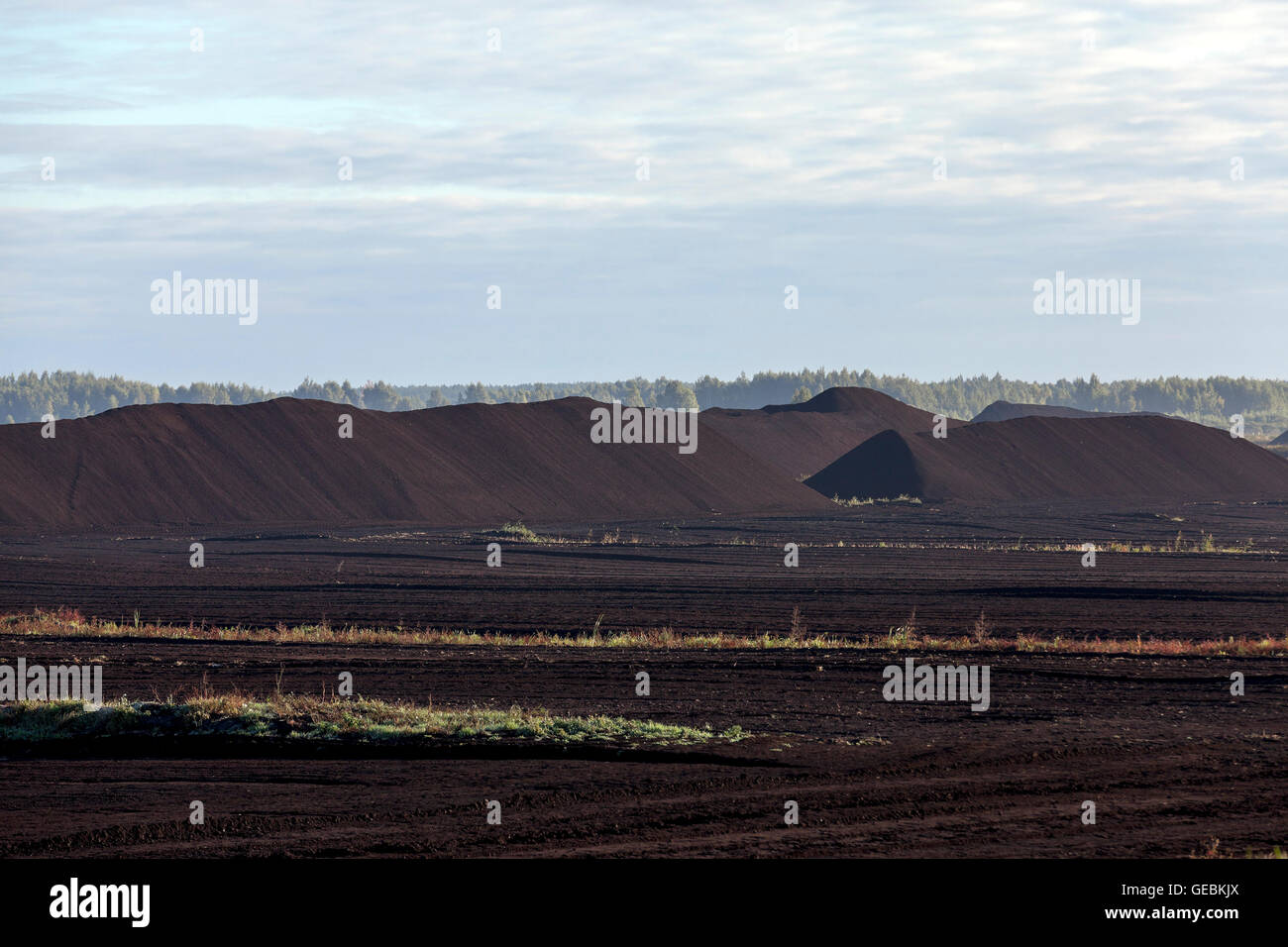Karriere mit Torf Stockfoto