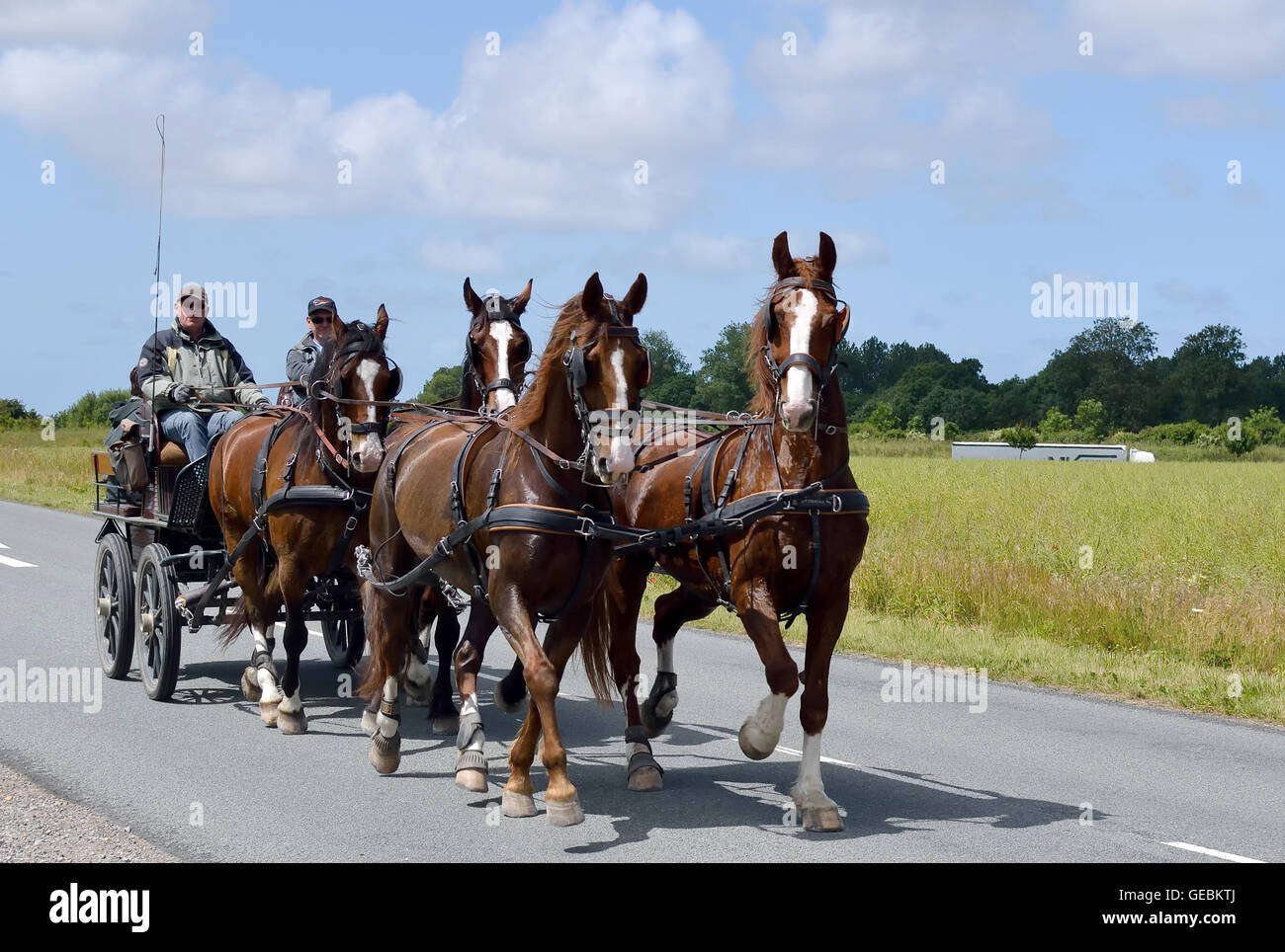 Reisen Sie mit Pferd und Wagen Stockfoto