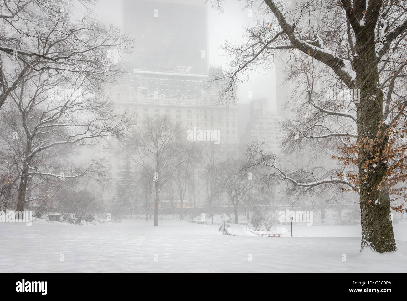 Schneefall im Central Park in der Nähe des Teiches mit The Plaza und Midtown Manhattan Wolkenkratzer. New York City Stockfoto