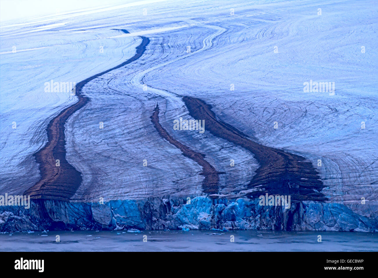 Stirnwand eines Gletschers Nansen. Nördliche Insel Nowaja Semlja Stockfoto