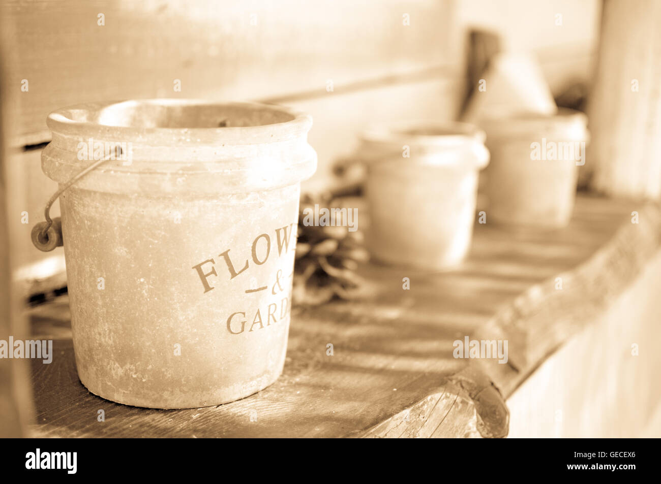 Dekorationen Blumen auf einem Regal in einem Restaurant in Griechisch, Hause gemacht Stockfoto