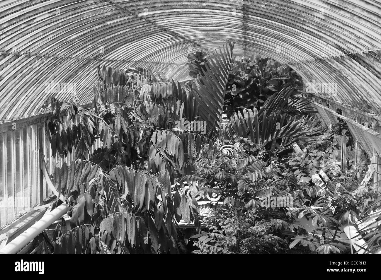 Kew Gardens Stockfoto