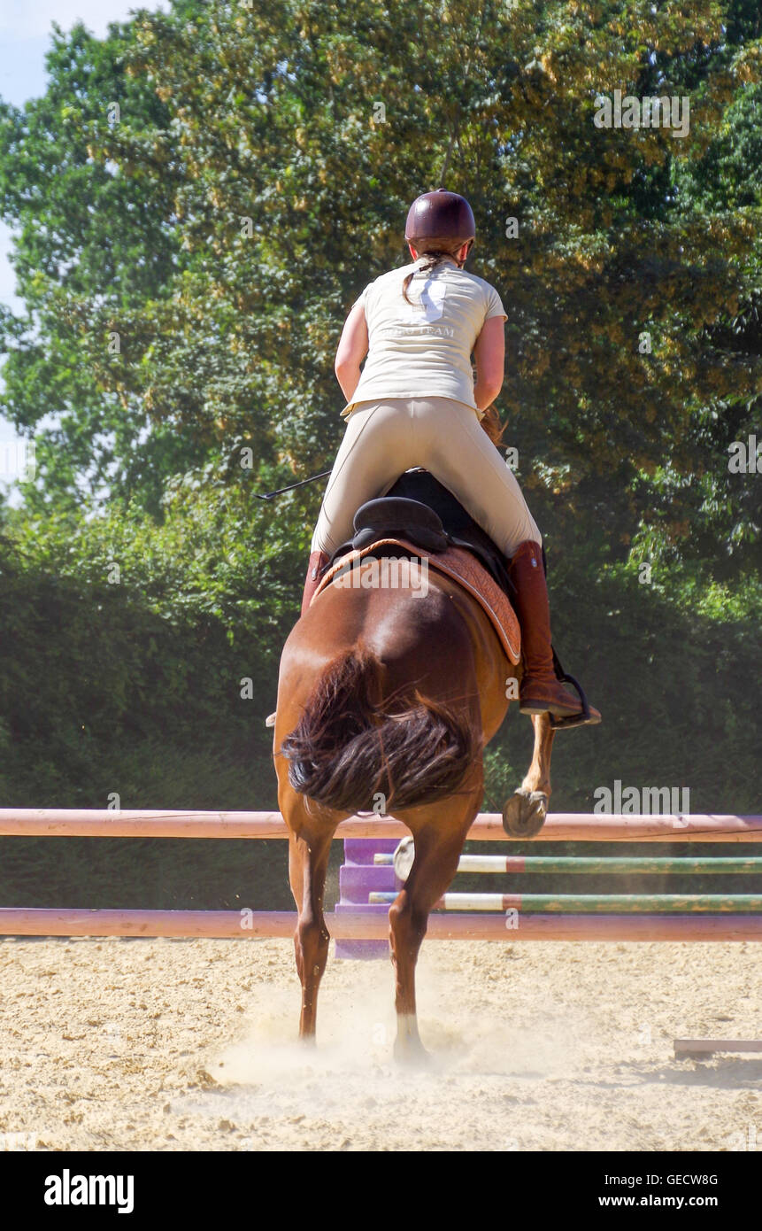 Weibliche Fahrer gesehen von hinten über eine Hürde springen, während ein Pferd springen Praxis Stockfoto