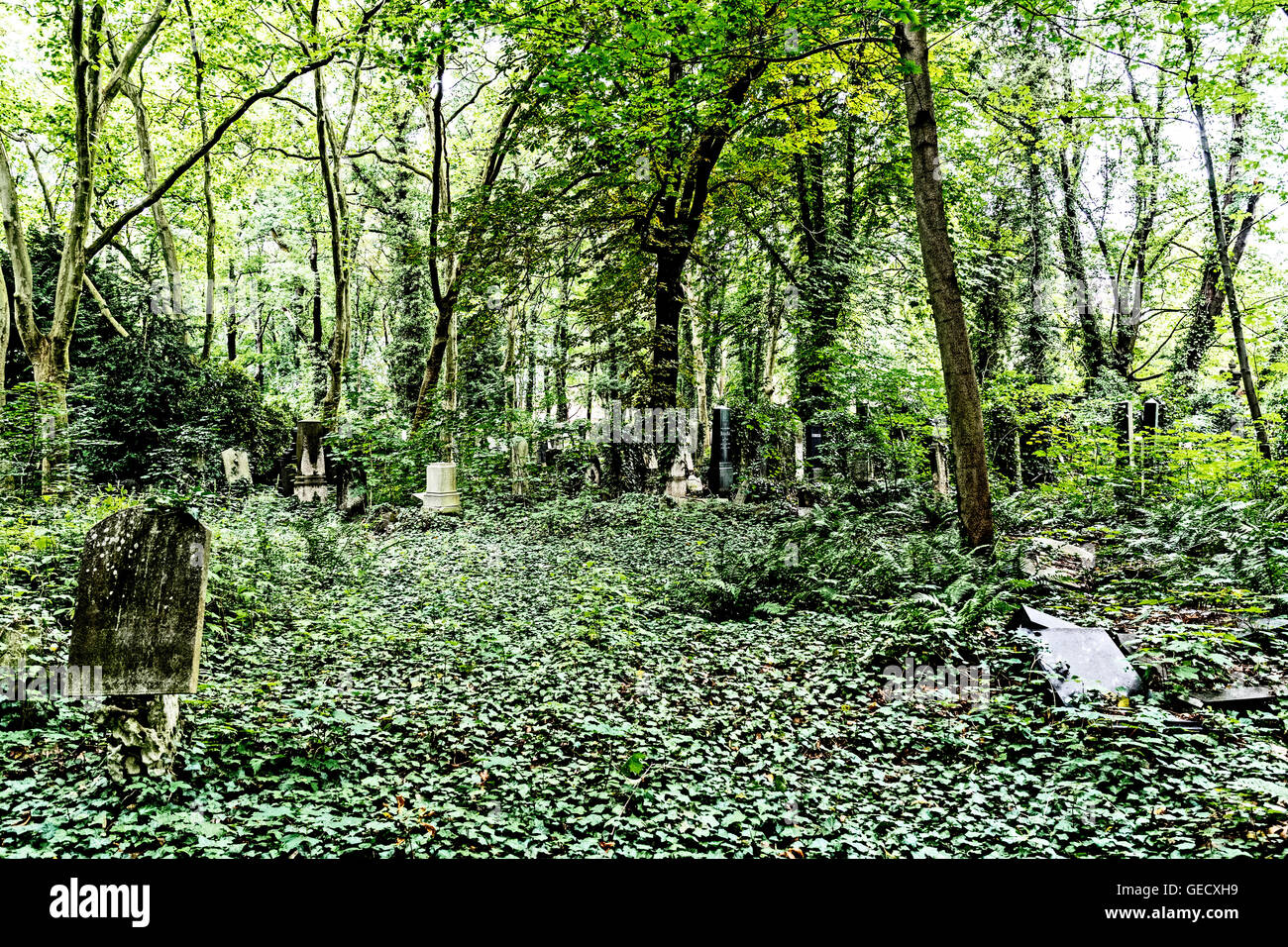 Berlin-Weißensee, jüdischer Friedhof; Jüdischer Friedhof, der Größte in Europa Stockfoto