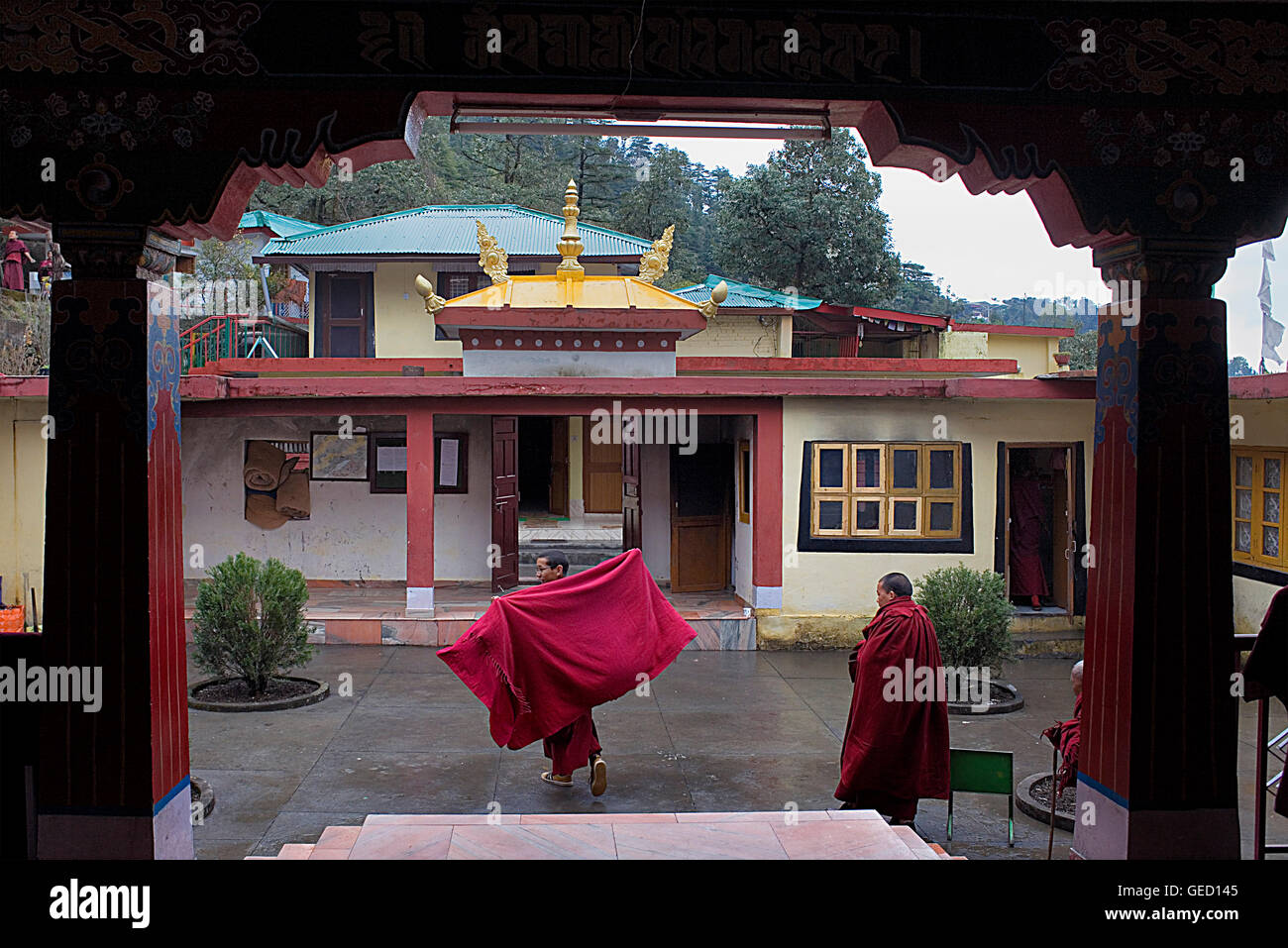 Mönche in Dip Tse Chok Ling Monastery.McLeod Ganj, Dharamsala Himachal Pradesh Zustand, Indien, Asien Stockfoto