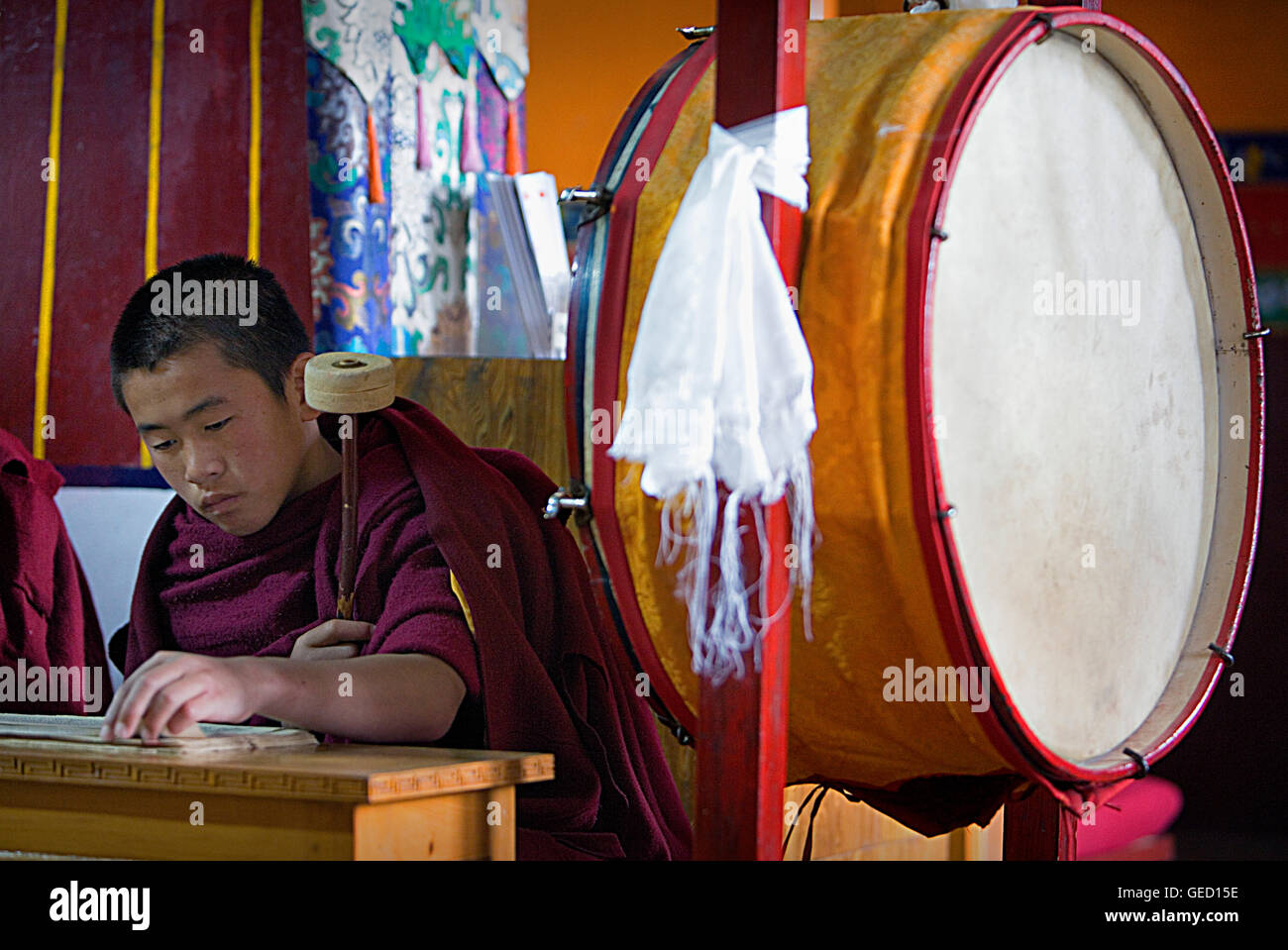 Puja, Mönch, in beten Dip Tse Chok Ling Monastery.McLeod Ganj, Dharamsala Himachal Pradesh Zustand, Indien, Asien Stockfoto