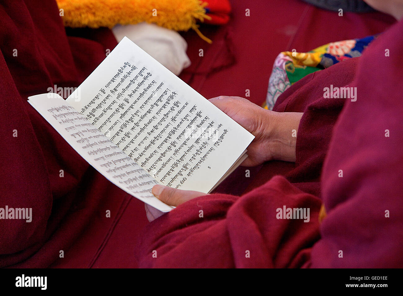 Puja, Mönche beten während Losar Neujahr, Namgyal Kloster in Tsuglagkhang Complex. McLeod Ganj, Dharamsala Himachal Prades Stockfoto