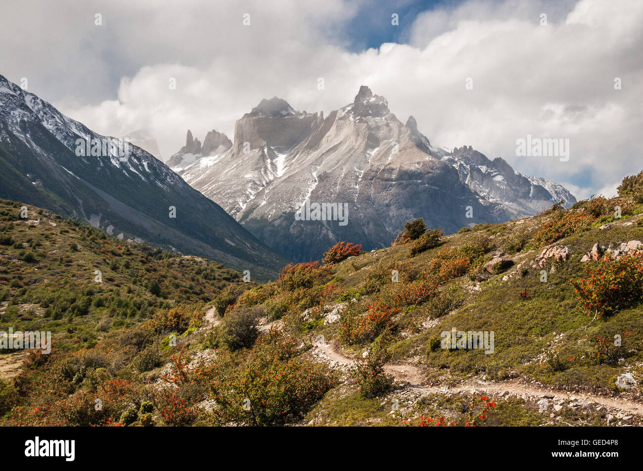 Trekking Trail führt zu Französisch-Tal mit Blick auf Cerro Paine Grande, Torres del Paine Nationalpark-Chile Stockfoto