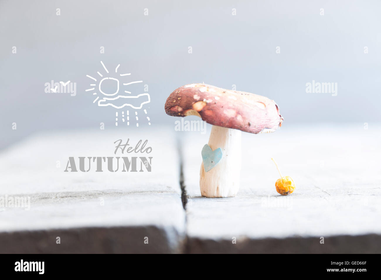 Hallo Herbst-Idee Stockfoto