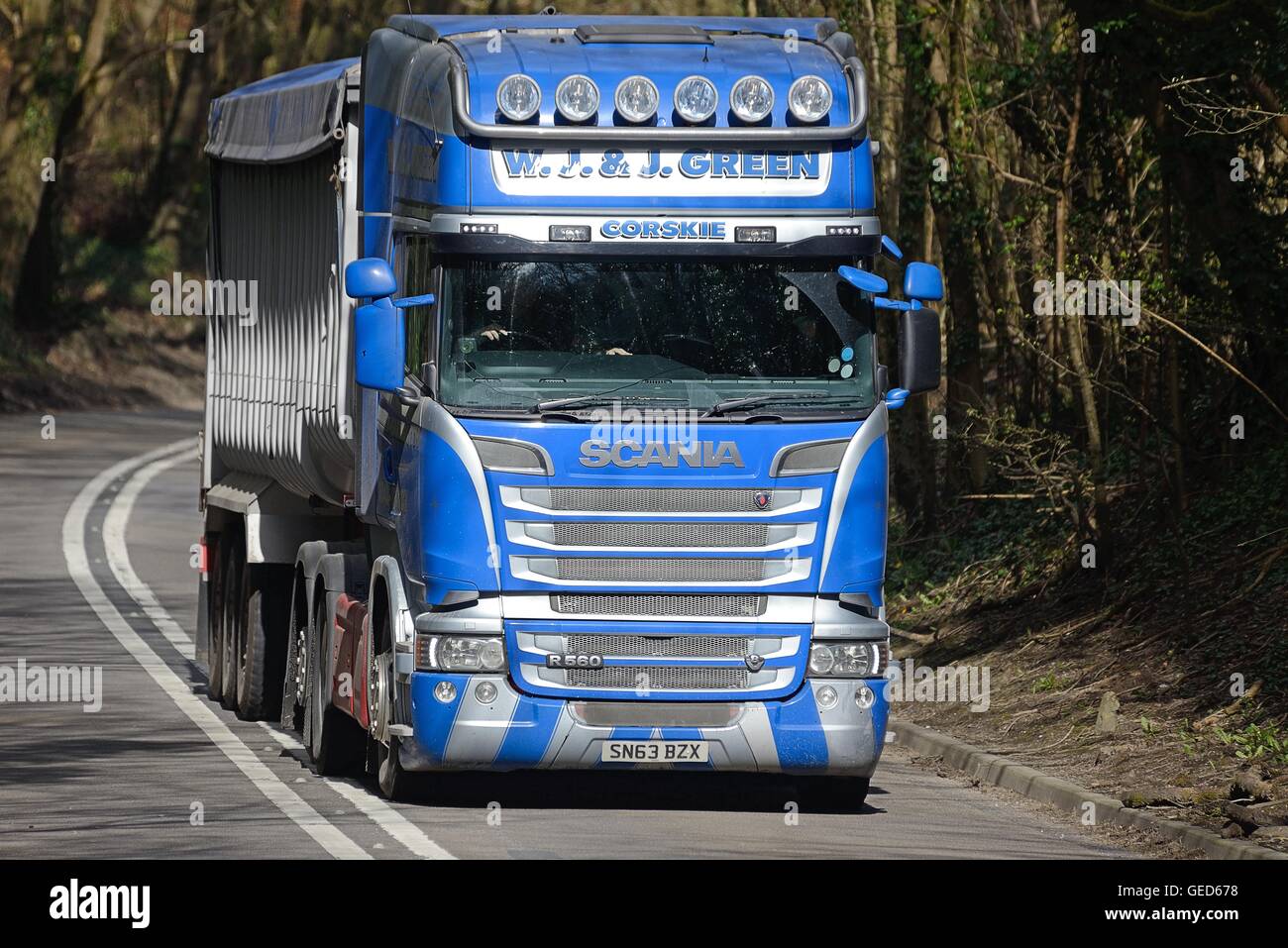 Scania R560 V8 Schüttgut Kipper fahren entlang einer schmalen, baumgesäumten Straße mit zwei weißen Linien in der Mitte hinunter Stockfoto