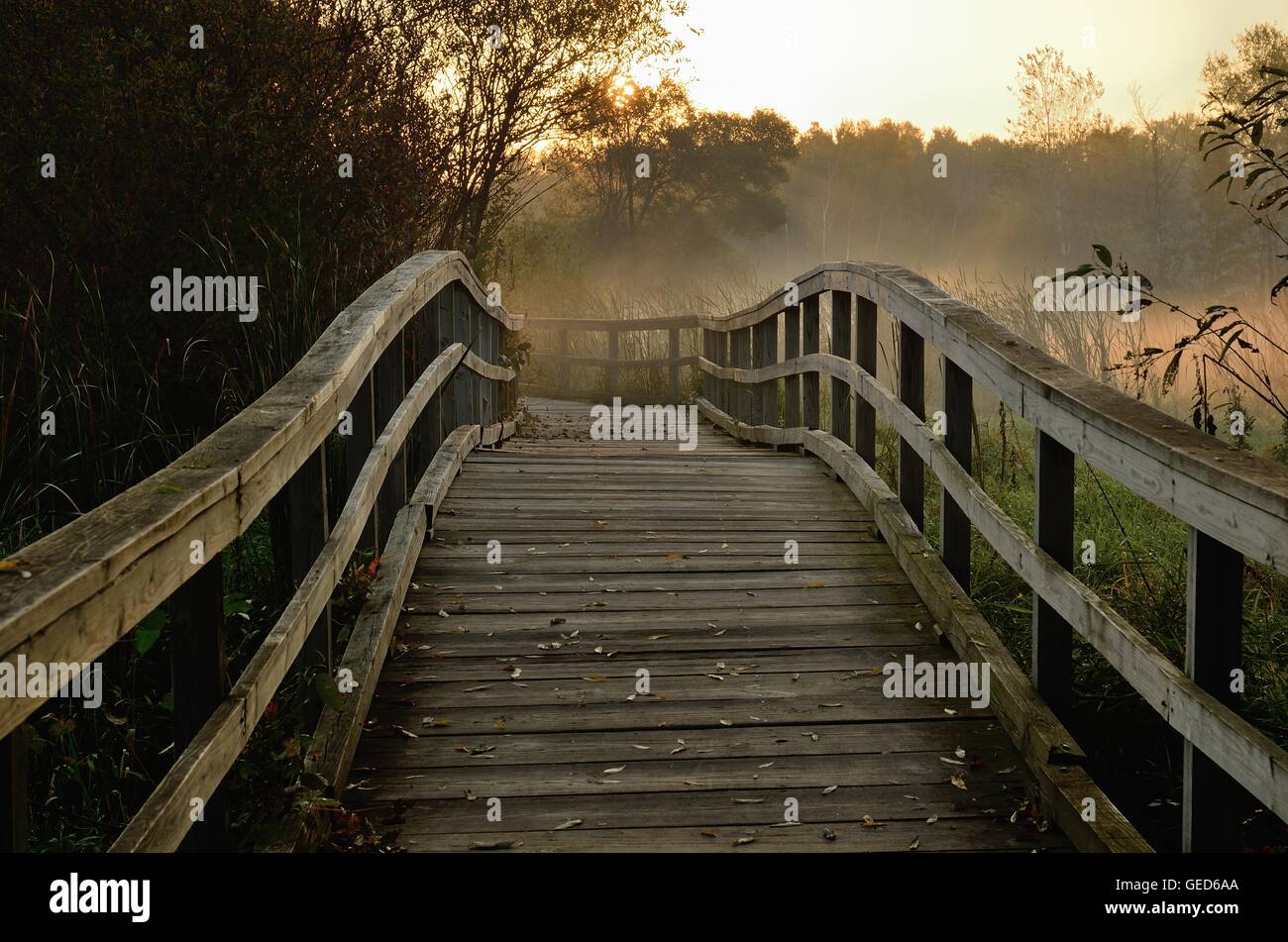 Hölzerne Fußgängerbrücke in den frühen Morgenstunden im Herbst Stockfoto