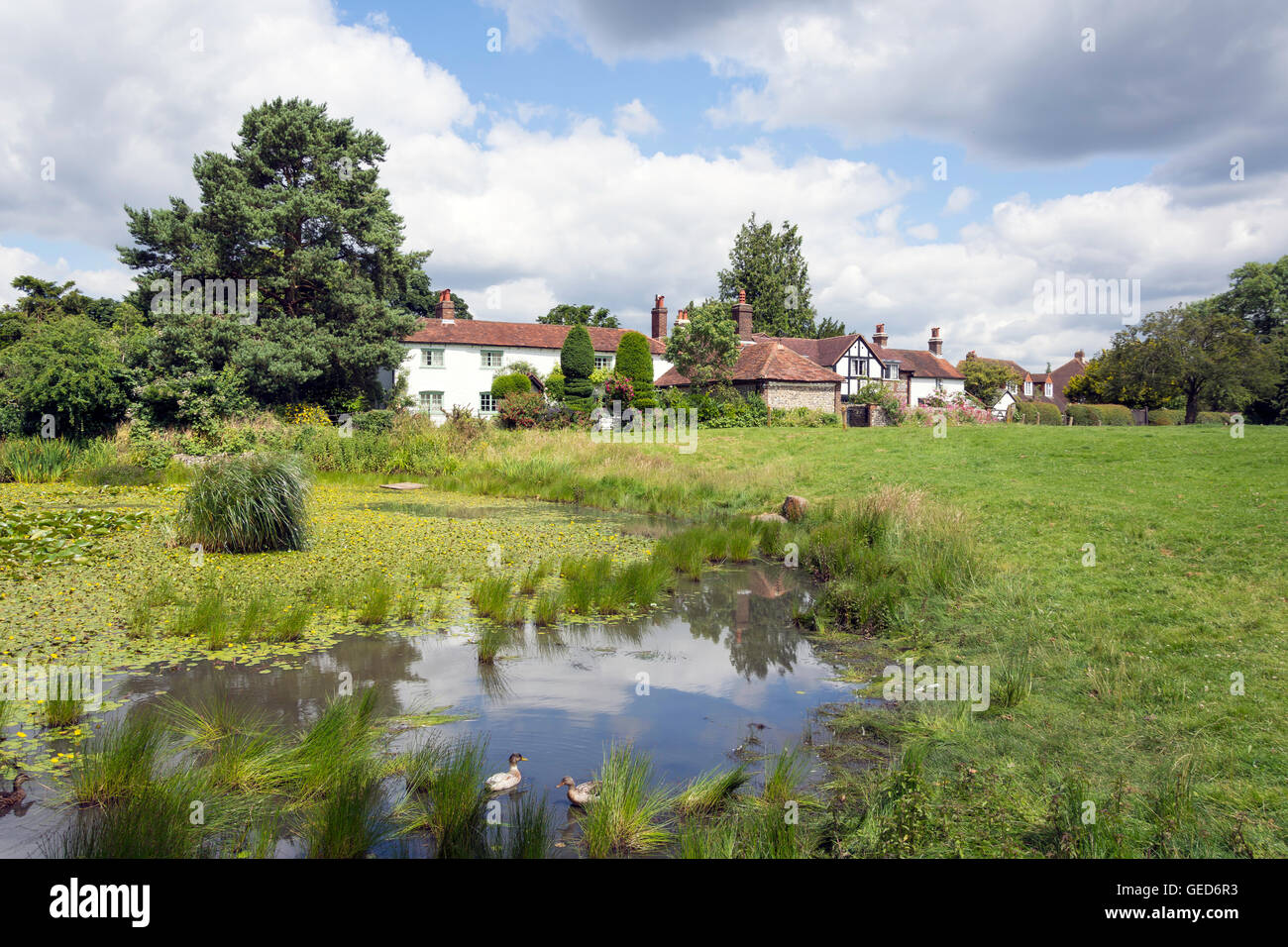 Bradmore grünen Teich, alte Coulsdon, London Borough of Croydon, Greater London, England, Vereinigtes Königreich Stockfoto