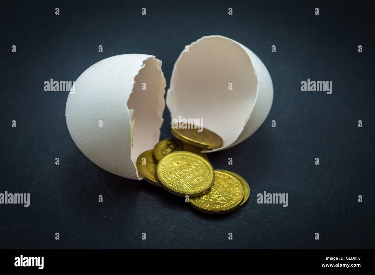 Eierschalen und Geld Münzen in einem schwarzen Hintergrund Stockfoto