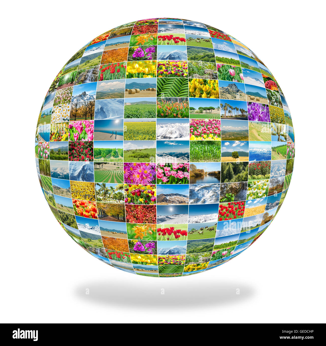 Sammlung von Naturfotos in Collage-Konzept Stockfoto