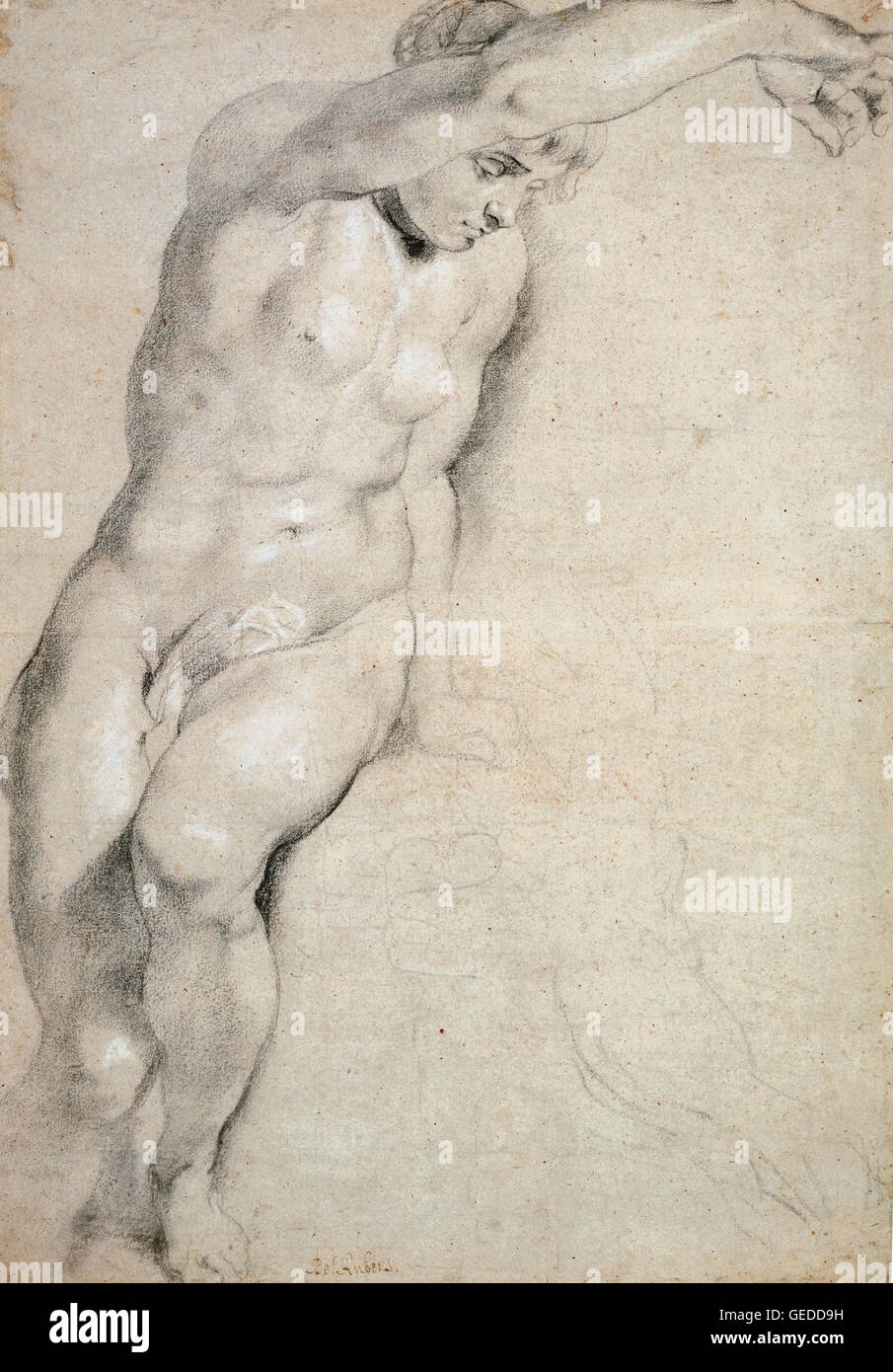 Sir Peter Paul Rubens - Psyche Stockfoto