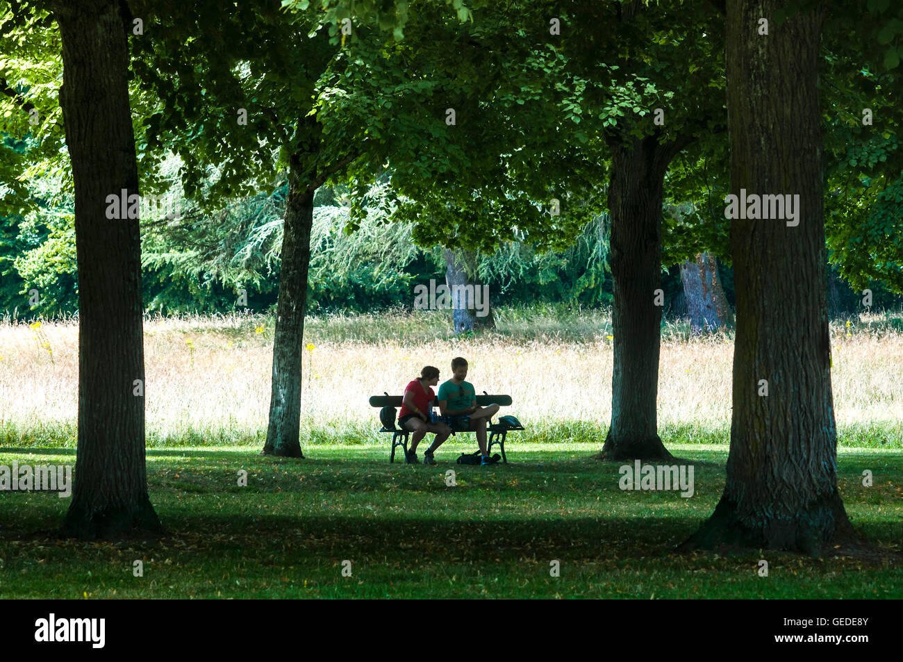 Silhouette von paar bergende unter Bäumen - Frankreich. Stockfoto