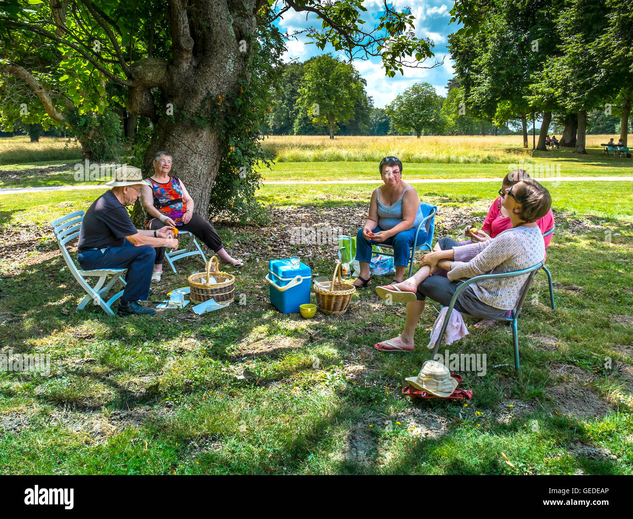 Familien-Picknick im Schatten der Bäume - Frankreich. Stockfoto