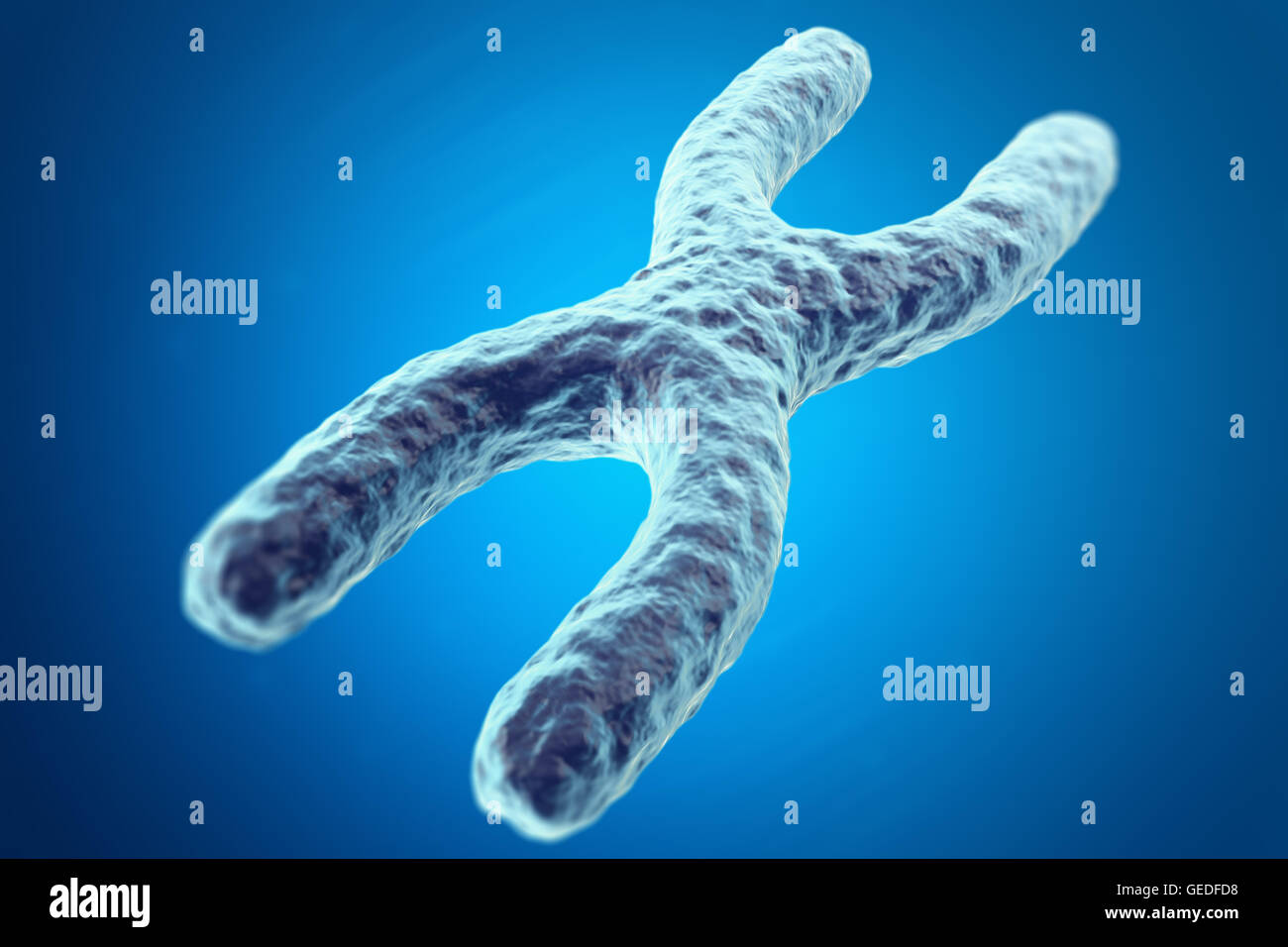 X-Chromosom auf blauem Hintergrund mit Fokuseffekt, wissenschaftliches Konzept. 3D illustration Stockfoto