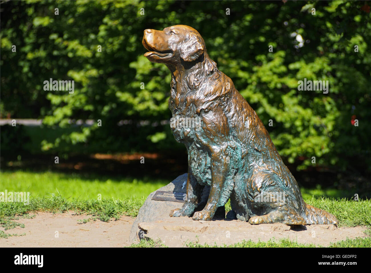 Statue von Happy Dog in Warschau, Polen. Stockfoto