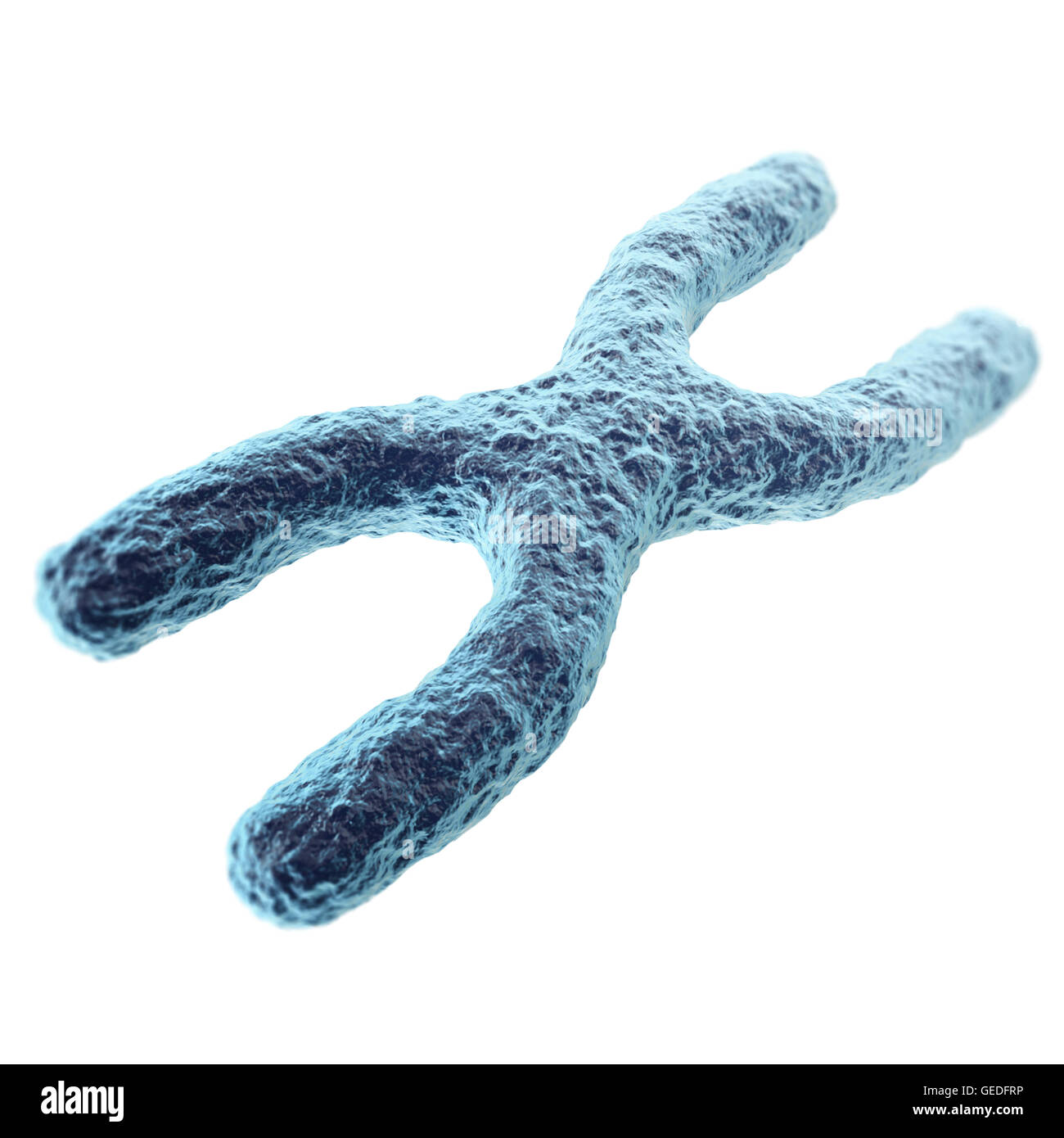 Chromosom isoliert auf weißem Hintergrund. mit Schärfentiefe-Effekt, wissenschaftliches Konzept. 3D illustration Stockfoto
