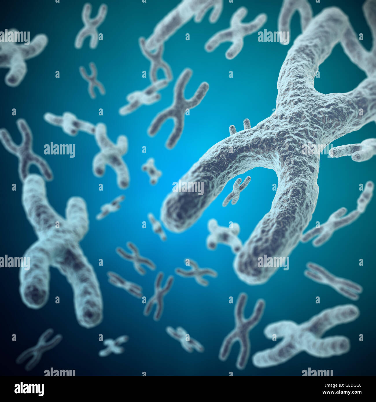 Chromosome als Konzept zur Humanbiologie medizinischen Symbol Therapie