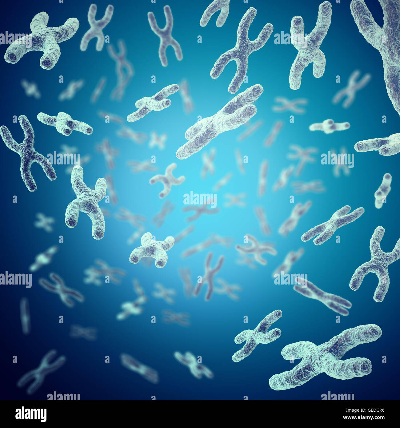 Chromosome Als Konzept Zur Humanbiologie Medizinischen Symbol Therapie Oder Mikrobiologie Genetik Genforschung 3d Illustration Stockfotografie Alamy