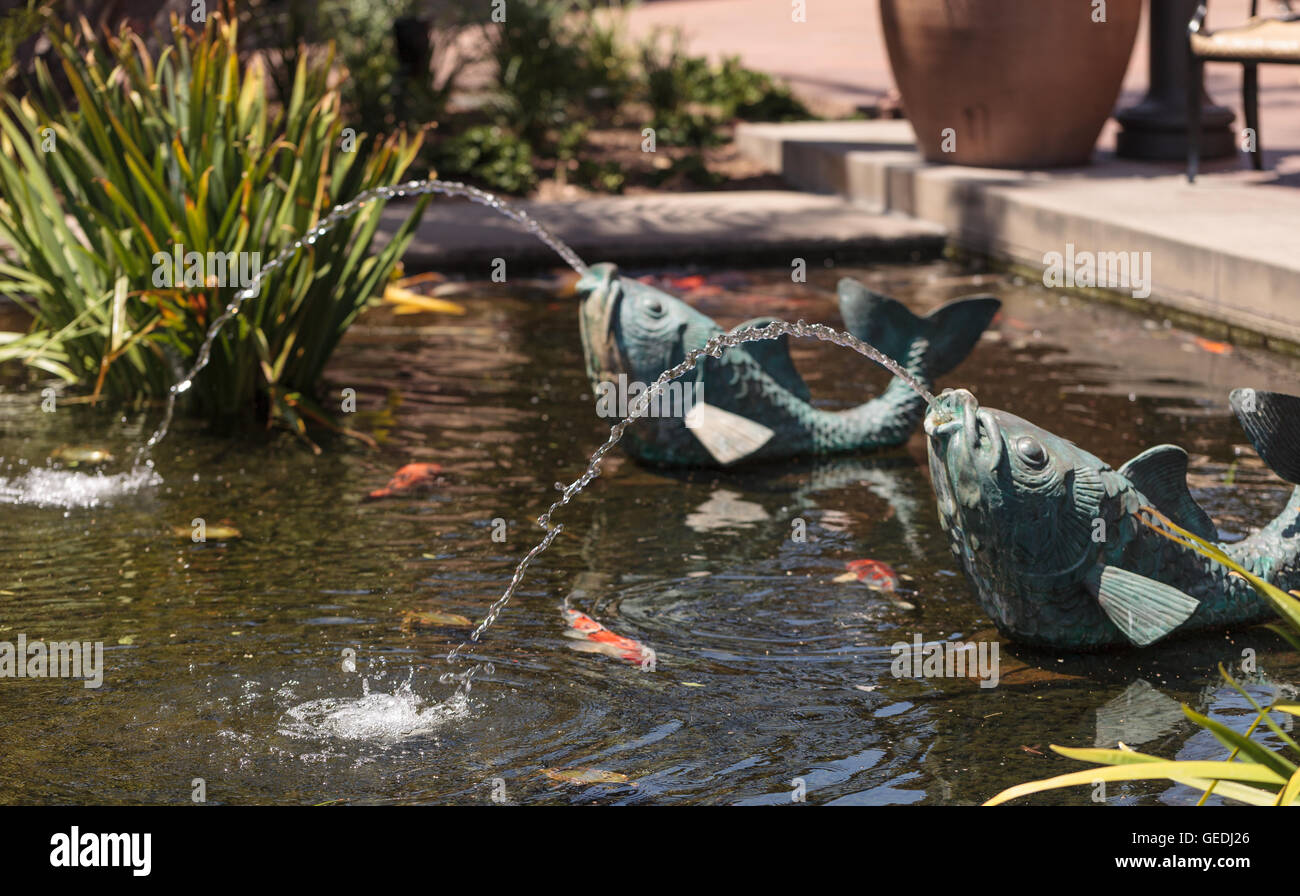 Entspannende Zen-Brunnen in einem Koiteich mit Pflanzen und Fische in einem Garten. Stockfoto