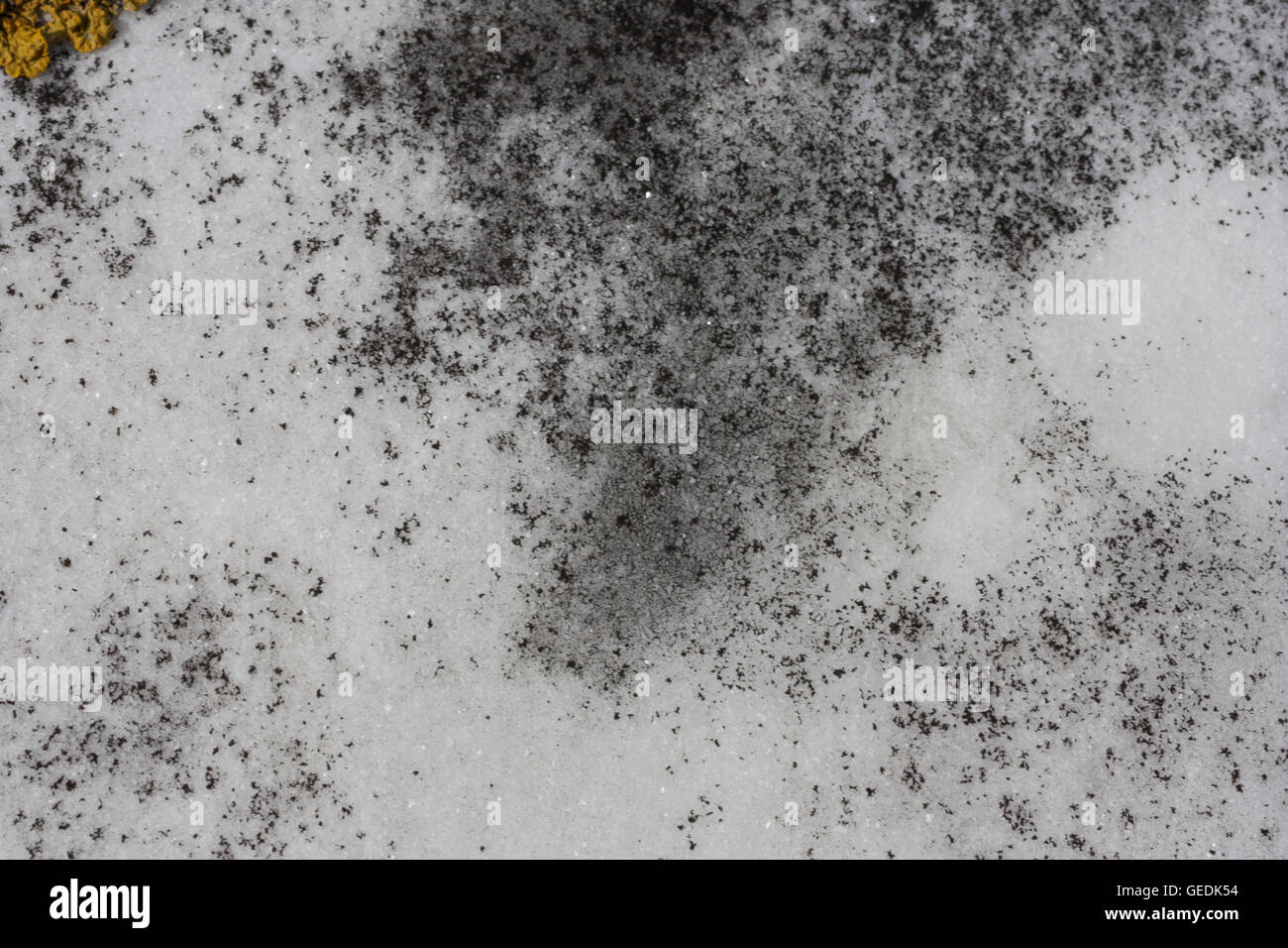 Marmor-Hintergrund von Grabstein Stockfoto